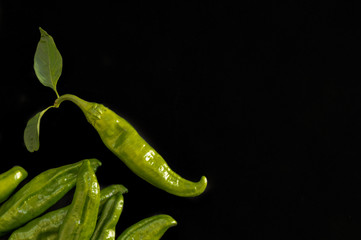 Background with delicious green peppers isolated on black background with copy space. Beautiful top view of fresh and organic vegetables with leaves.