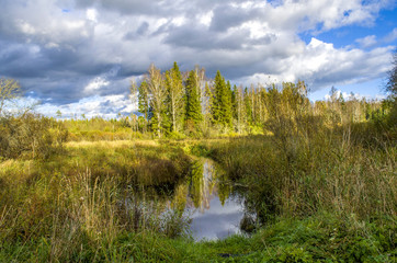 In the forest, too, case spacious. Floodplain of a small forest river