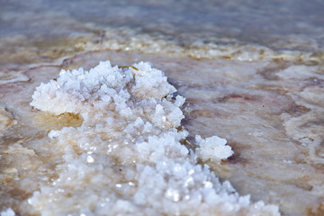 Fototapeta na wymiar pieces of sea salt on the beach