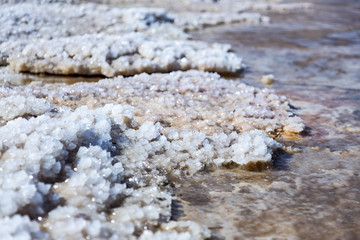 pieces of sea salt on the beach