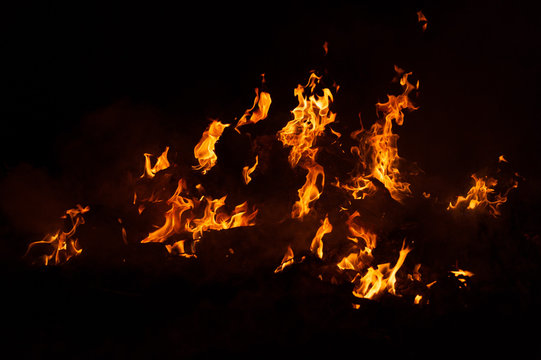 Flame of fire on a black background