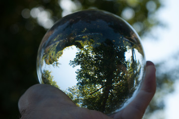 A glass ball of nature