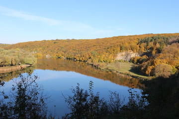  Autumn forest is on the shores of the forest lake