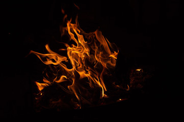 Flame of fire on a black background