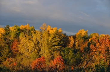 Glorious autumn colours in Ontario