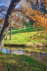autumn in the park