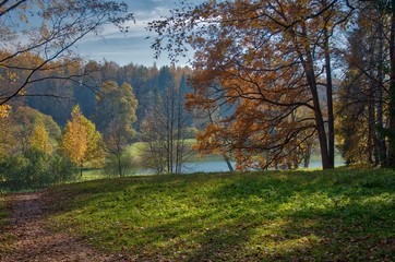 autumn in the park