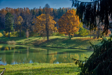 autumn in the park
