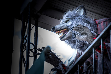  Halloween scary werewolf.