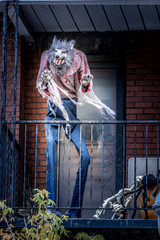  Halloween scary werewolf.