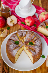 Delicious apple pie with cinnamon and caramel sauce. Traditional cake Charlotte.