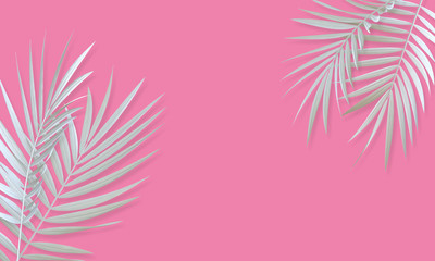 Fototapeta na wymiar Tropical white palm tree leaf bright abstract background. Exotic summer banner. 3D Rendering