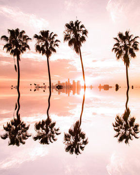 Reflection of palm trees