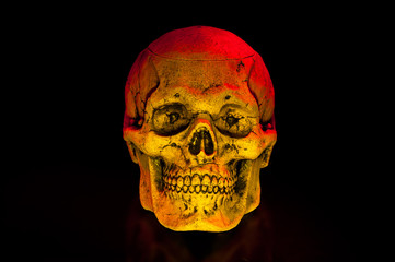 Ceramic skulls on black background. Halloween decor.
