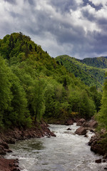 Fototapeta na wymiar River mountain origin clean ecology water.