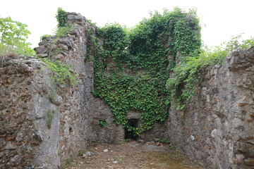 Ruins of medieval castle tower covered by plants