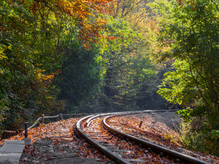 Autumn colours