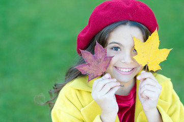Child with autumn maple leaves walk. Autumn coziness is just around. Little girl excited about autumn season. Tips for turning autumn into best season. Kid girl smiling face hold maple leaves