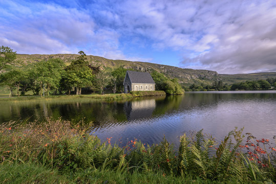 Little irish church on a peninsula in front of hills with blossoming flowers and fern in the voreground - the St Finbarr's Oratory at Gougane Barra, Macroom, County Cork, Ireland