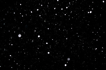 Snowstorm texture. Bokeh lights on black background, shot of flying snowflakes in the air
