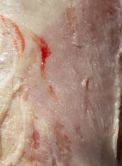 Fototapeta premium fresh sheep meat
