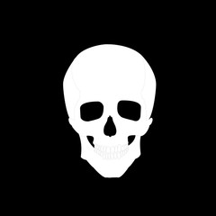 White Skull Vector