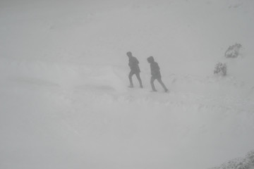 Two people are on the road in a snowstorm.
