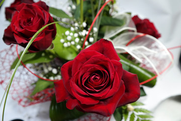 Rose rosse