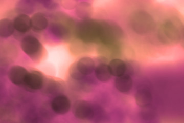 many blured bacteria close up under the microscope. Abstract.