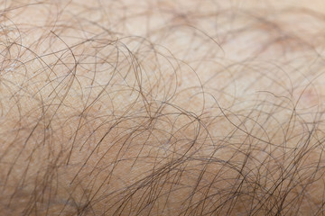 closeup hairy legs