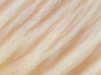 wrinkles on the leg, macro