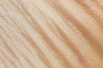 wrinkles on the leg, macro