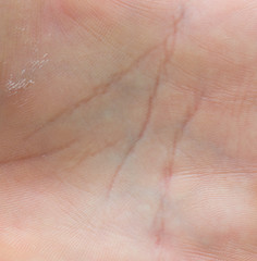 Fototapeta premium Close up macro image of the skin surface texture of human hands palms