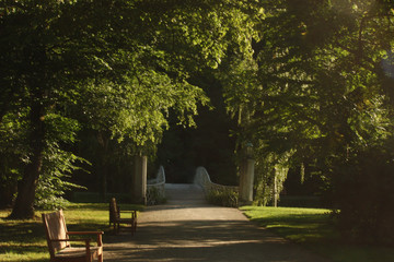 alley in the park