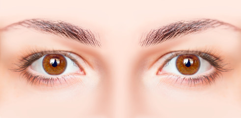 Naklejka premium Beautiful close-up female eyes