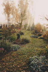 fog in early morning in late autumn or winter garden. Frosty beautiful rural view with pathway, lawn and plants.