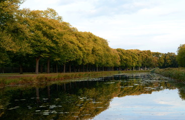 Herbst im Park Bäume an der Graft