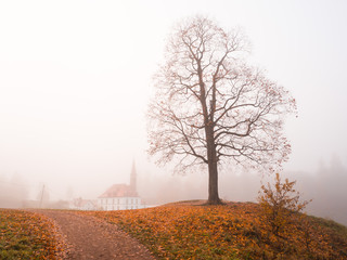 Naklejka na ściany i meble Autumn landscape with an old castle in the fog. 