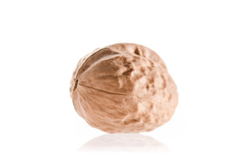 Walnut isolated on a white background. Close up Walnut photography.