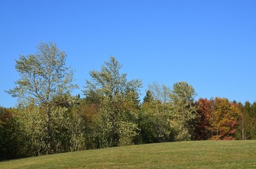 Herbstlandschaft - H&uuml;gellandschaft unter stahlblauem Himmel