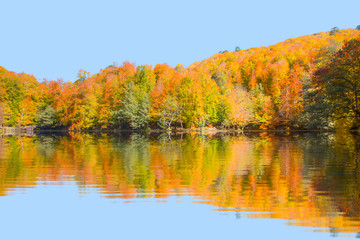 Fototapeta premium Autumn landscape in (seven lakes) Yedigoller Park Bolu, Turkey