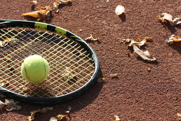 Tennis ball and racket on the court with autumn leaves.