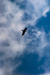 blue sky background with tiny clouds. panorama