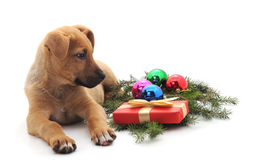 Little New Year's puppy with toys and gifts.