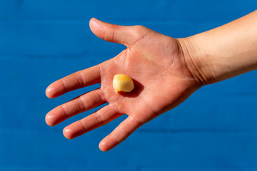 garlic in hand on blue background