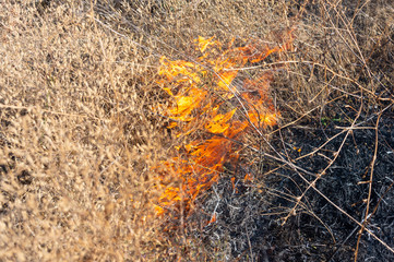 fire in the field - dry grass