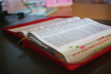Red Holy Bible