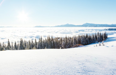 View of the misty valley. Location Carpathian, Ukraine, Europe.