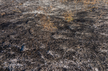 ash fire, ash after burning