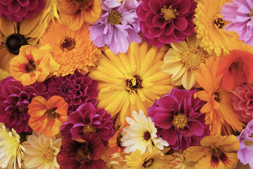 Large yellow calendula flower among mixed blooms
